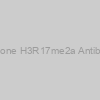 Histone H3R17me2a Antibody